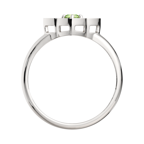 Кольцо 02S80102.ZZ Кольцо 02S80102.ZZ