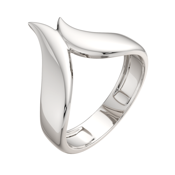 Кольцо 0200193.ZZ