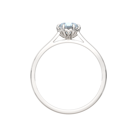 Кольцо 02S4036.ZZ