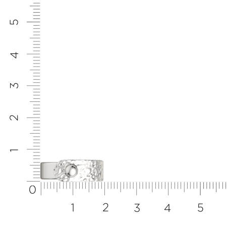 Кольцо 0200256.ZZ