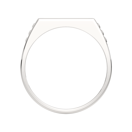 Кольцо 0200394.ZZ