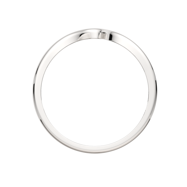 Кольцо 0200300.ZZ