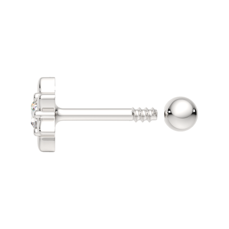 Пирсинг 0710013.ZZ