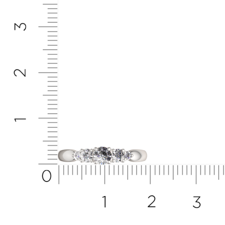 Кольцо 02101388.ZZ