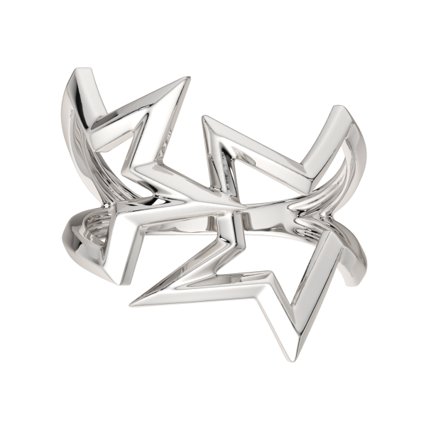 Кольцо 0200123.ZZ Кольцо 0200123.ZZ