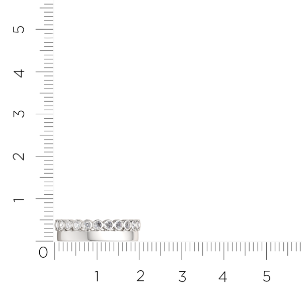 Кольцо 02101018.ZZ