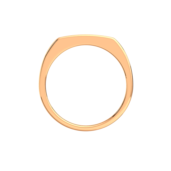 Кольцо 2101315.14K.R.ZZ