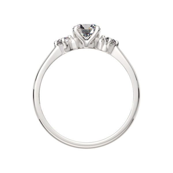 Кольцо 02101079.ZZ Кольцо 02101079.ZZ