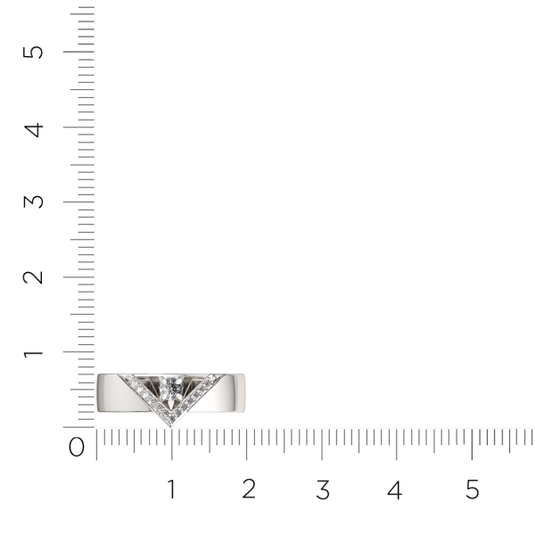 Кольцо 0210447.ZZ