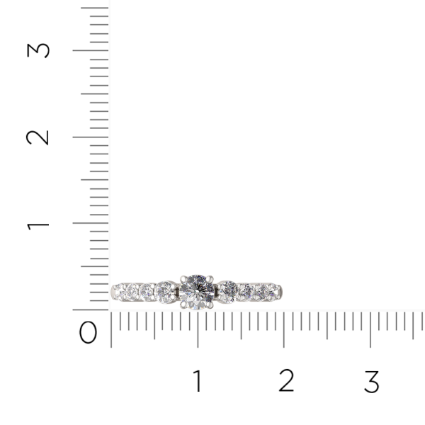 Кольцо 02101022.ZZ Кольцо 02101022.ZZ
