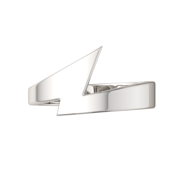 Кольцо 0200202.ZZ