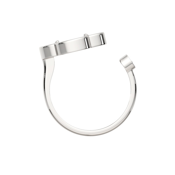 Кольцо 02G08170.ZZ