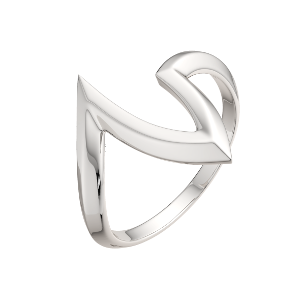 Кольцо 0200305.ZZ