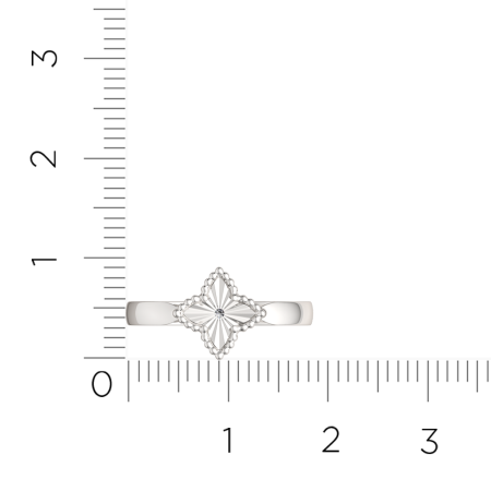 Кольцо 02D0109.ZZ