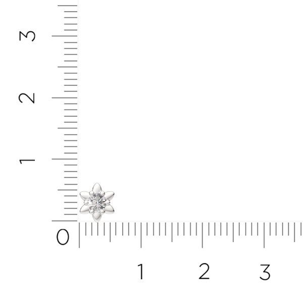 Пирсинг 0710013.ZZ