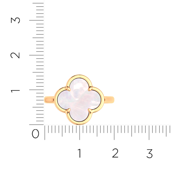 Кольцо 2G0833.14K.R.ZZ