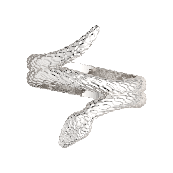 Кольцо 0200283.ZZ Кольцо 0200283.ZZ