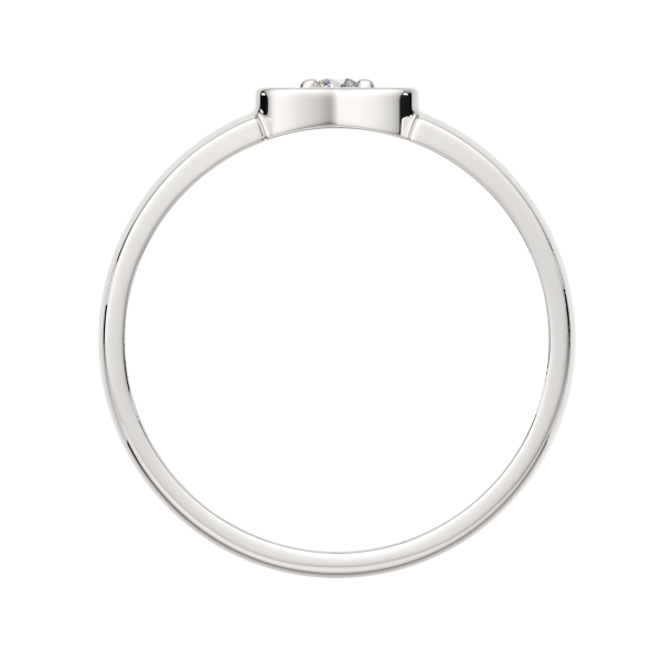 Кольцо 0210749.ZZ