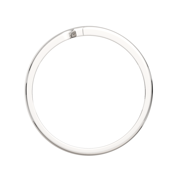 Кольцо 0200112.ZZ