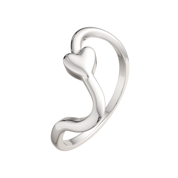 Кольцо 0200304.ZZ