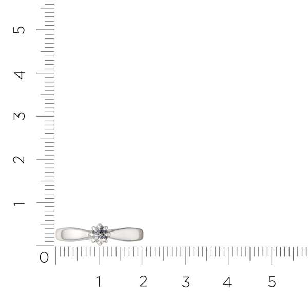 Кольцо 0210438.ZZ