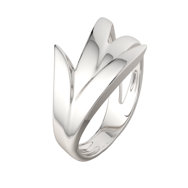 Кольцо 0200211.ZZ