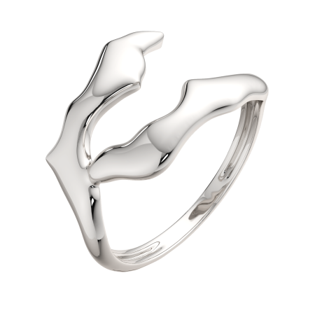 Кольцо 0200260.ZZ