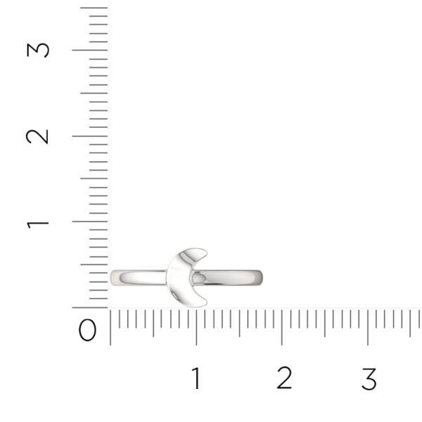 Кольцо 0200297.ZZ