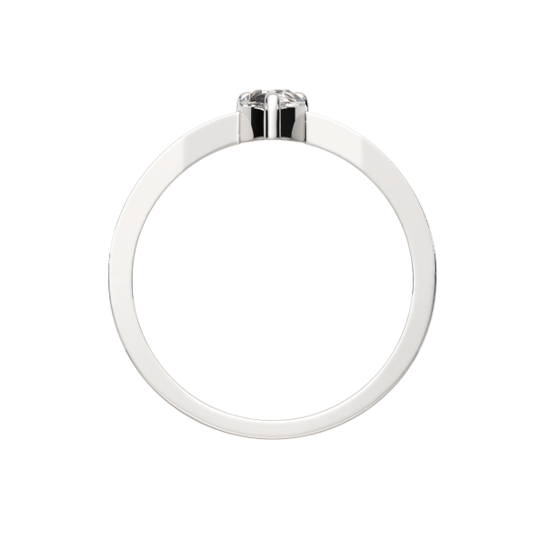 Кольцо 02101138.ZZ