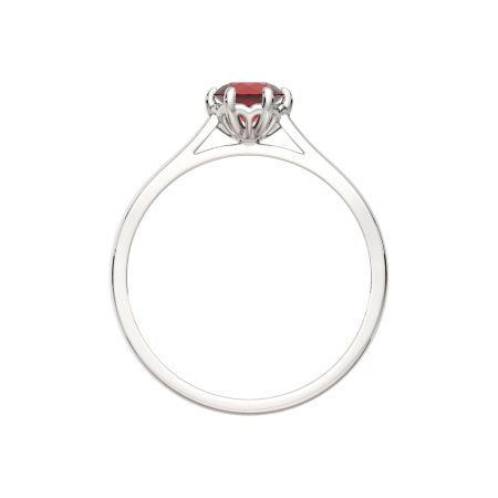 Кольцо 02S5036.ZZ Кольцо 02S5036.ZZ