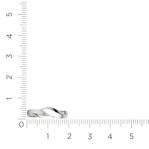 Кольцо 0200298.ZZ Кольцо 0200298.ZZ