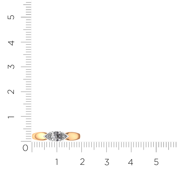 Кольцо 2101308.14K.R.ZZ