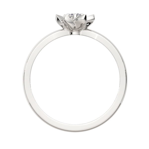 Кольцо 0210838.ZZ