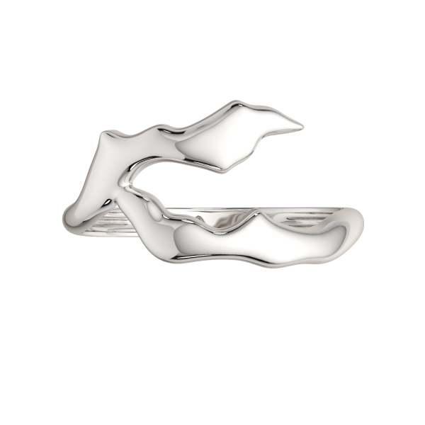 Кольцо 0200260.ZZ Кольцо 0200260.ZZ