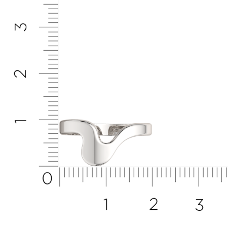 Кольцо 0200300.ZZ