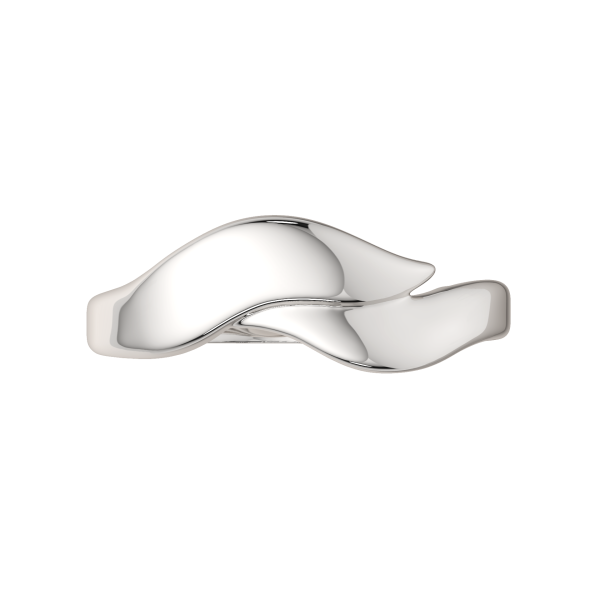 Кольцо 0200282.ZZ Кольцо 0200282.ZZ