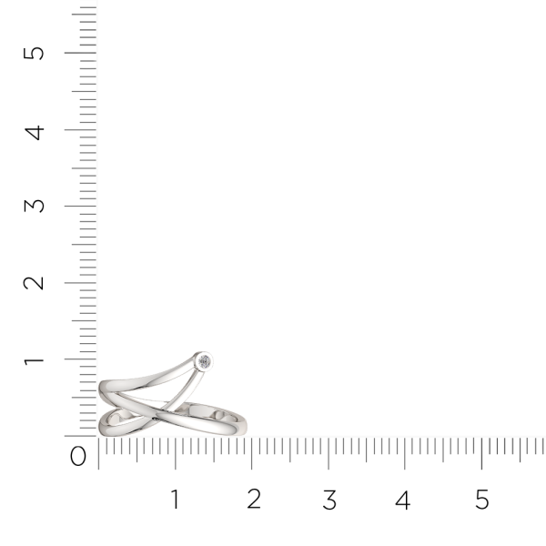 Кольцо 0210743.ZZ