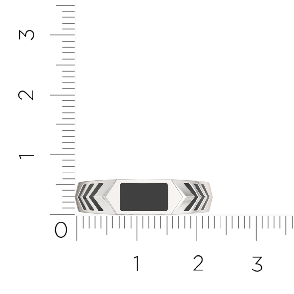 Кольцо 0200387.ZZ