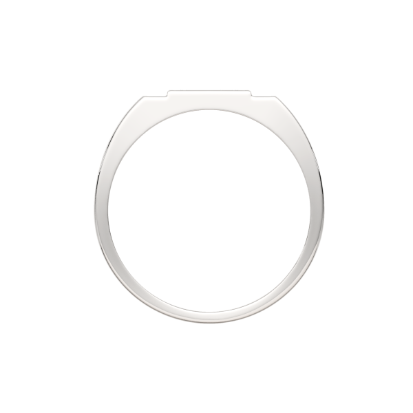 Кольцо 02101185.ZZ