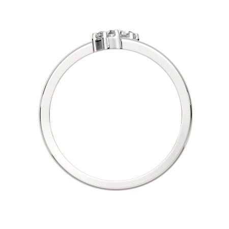 Кольцо 0210876.ZZ