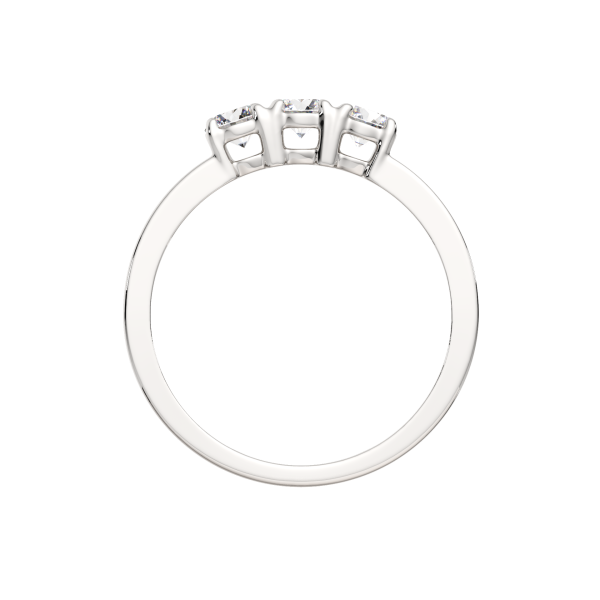 Кольцо 02101054.ZZ