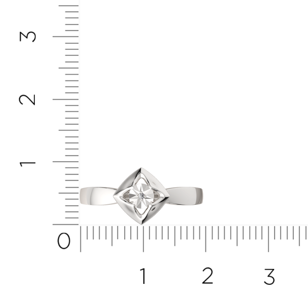 Кольцо 02D0063.ZZ