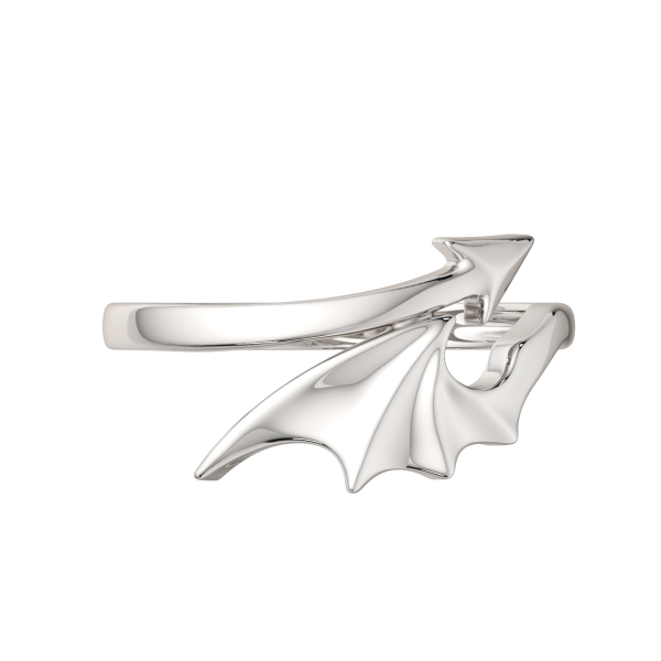 Кольцо 0200209.ZZ