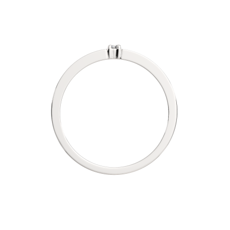 Кольцо 02101198.ZZ