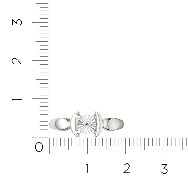Кольцо 02D0091.ZZ