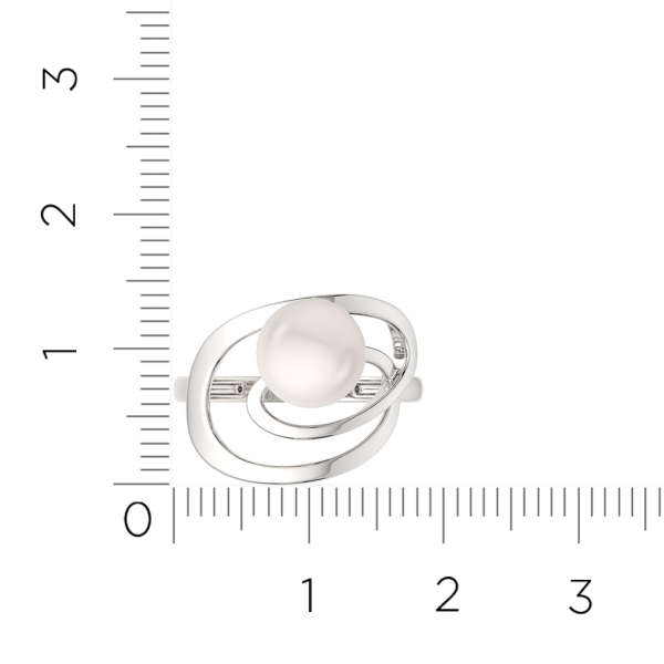 Кольцо 02101195.ZZ