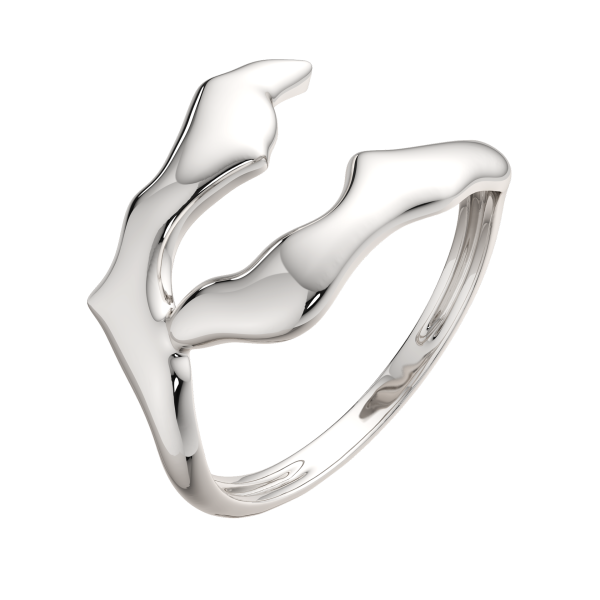 Кольцо 0200260.ZZ Кольцо 0200260.ZZ