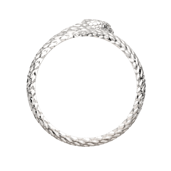 Кольцо 0200283.ZZ Кольцо 0200283.ZZ