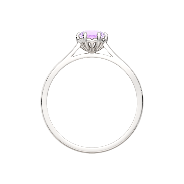 Кольцо 02S6036.ZZ