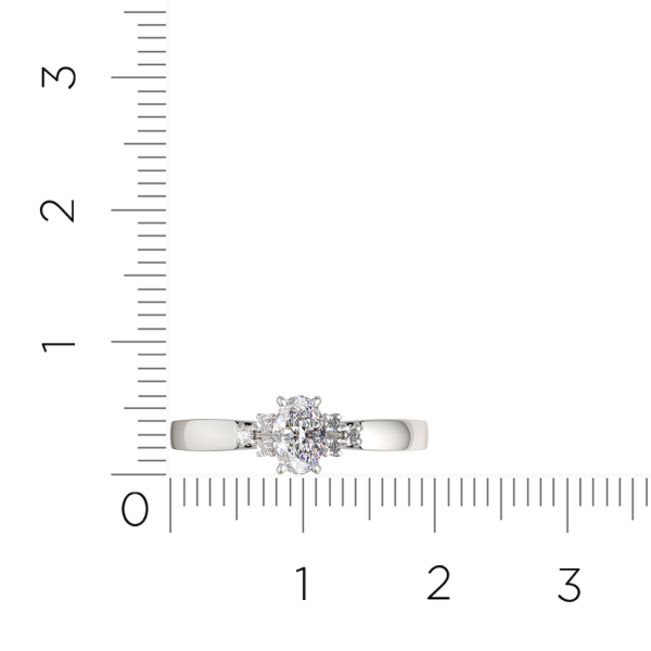 Кольцо 0210696.ZZ Кольцо 0210696.ZZ